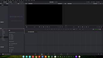 国产系统视频软件,引领新时代视听体验的创新发展