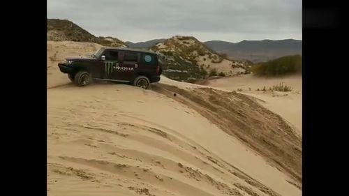 国产车打野视频在线观看,感受速度与激情