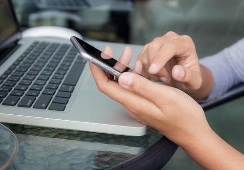 国产成人禁密视频网站,暗流涌动的网络世界